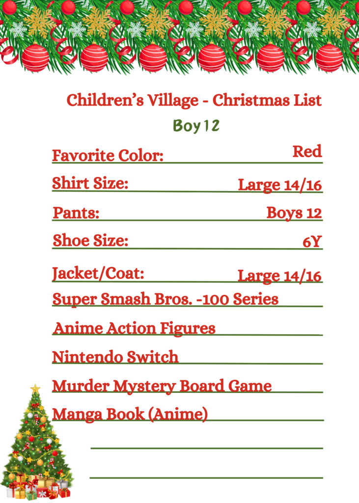 Children's Village Boy Age 12 Wishlist