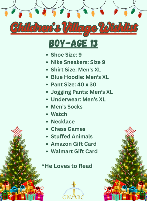 Christmas Village Wishlist for Boy, Age 13: Shoe Size: 9 Nike Sneakers: Size 9 Shirt Size: Men’s XL Blue Hoodie: Men’s XL Pant Size: 40 x 30 Jogging Pants: Men’s XL Underwear: Men’s XL Men’s Socks Watch Necklace Chess Games Stuffed Animals Amazon Gift Card Walmart Gift Card *He Loves to Read